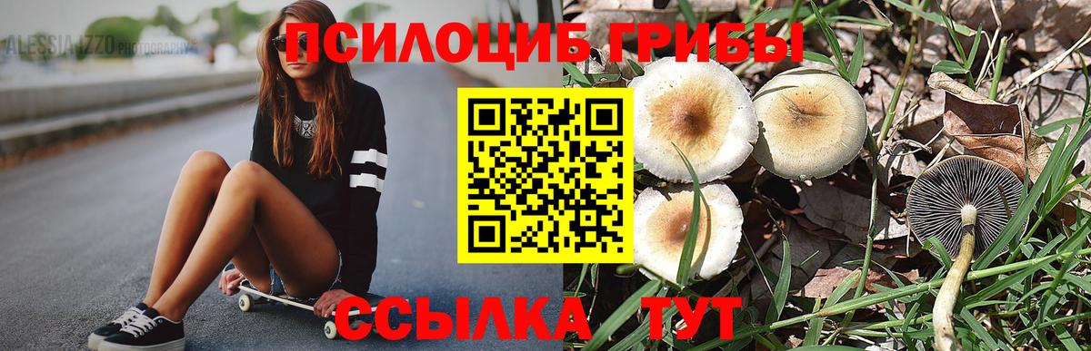 Солнечногорск  Галлюциногенные грибы мицелий  Вход с VPN 